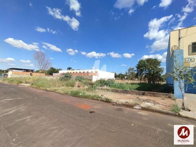 Loft venda em Jardim Marincek, Ribeirão Preto