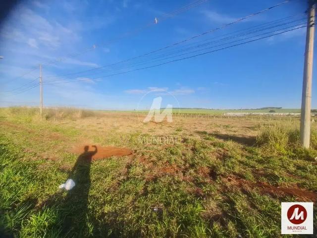 Loft venda em Recreio Anhanguera, Ribeirão Preto