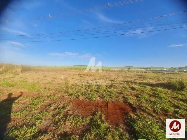 Loft venda em Região Imediata de Ribeirão Preto, Região Metropolitana de Ribeirão Preto