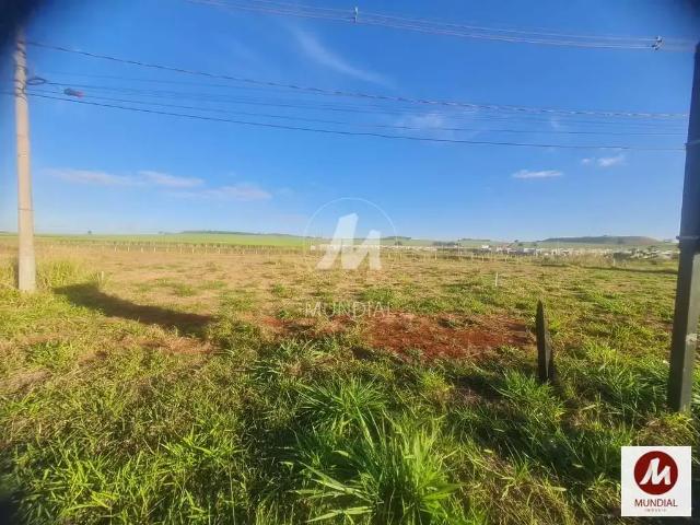 Loft venda em Região Imediata de Ribeirão Preto, Região Metropolitana de Ribeirão Preto
