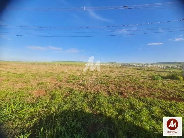 Loft venda em Recreio Anhanguera, Ribeirão Preto