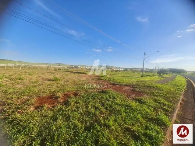 Loft venda em Recreio Anhanguera, Ribeirão Preto