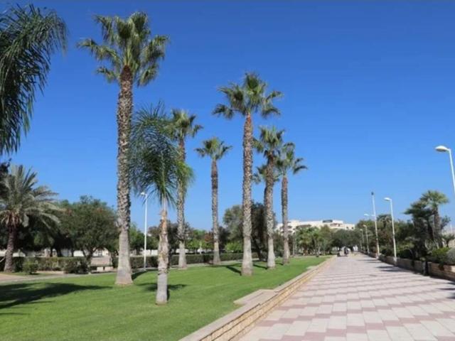 Loft en alquiler en Canet D'en Berenguer, Platja de Canet