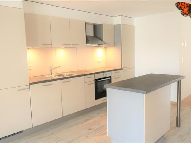 Loft mieten in Payerne, Waadt