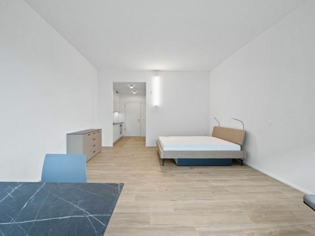 Apartment mieten in Buchs (SG), St. Gallen