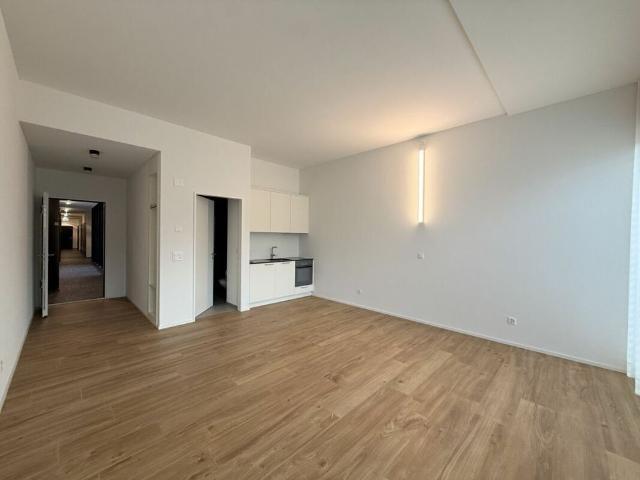 Apartment mieten in Buchs (SG), St. Gallen