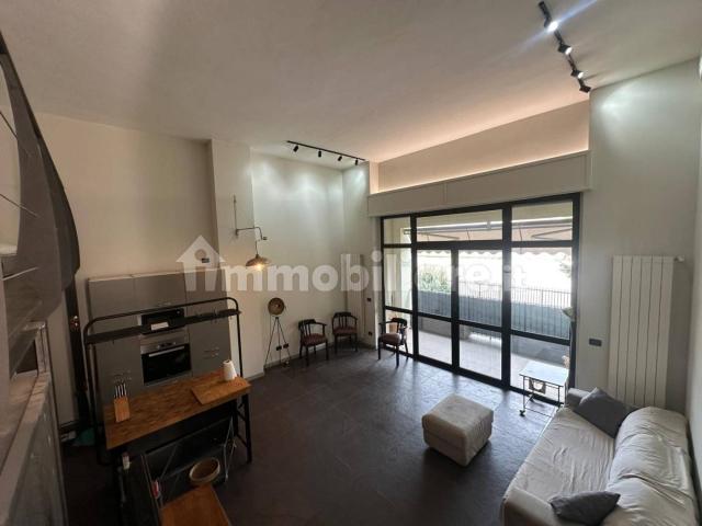 Villa Indipendente in affitto a Piemonte, Torino