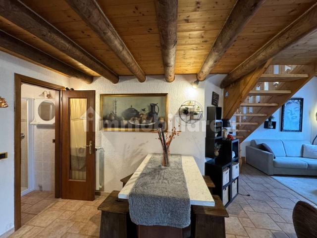 Villa Indipendente in affitto a Comunità montana della valle Camonica, Temù