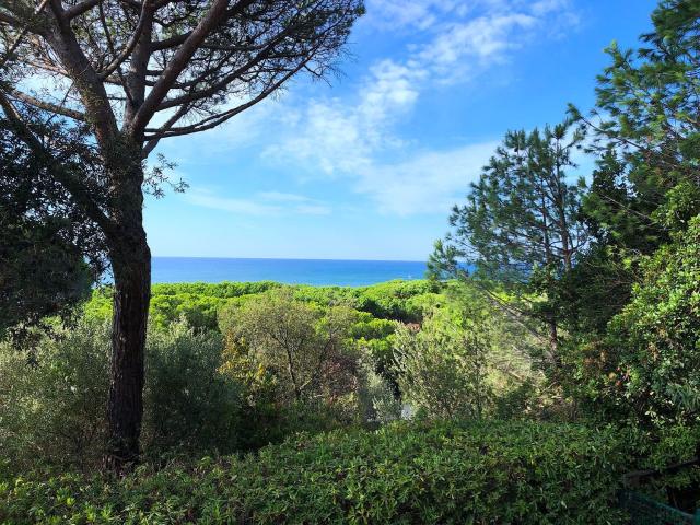 Loft in affitto a Marina, Castiglione Della Pescaia