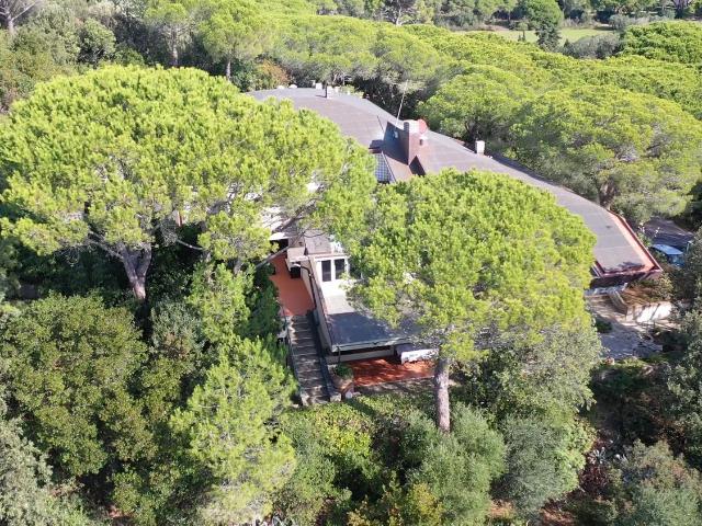 Loft in affitto a Marina, Castiglione Della Pescaia