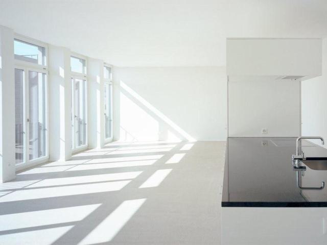 Loft mieten in Neuhegi, Winterthur