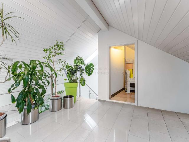 Loft kaufen