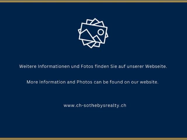 Loft kaufen in Wädenswil, Bezirk Horgen