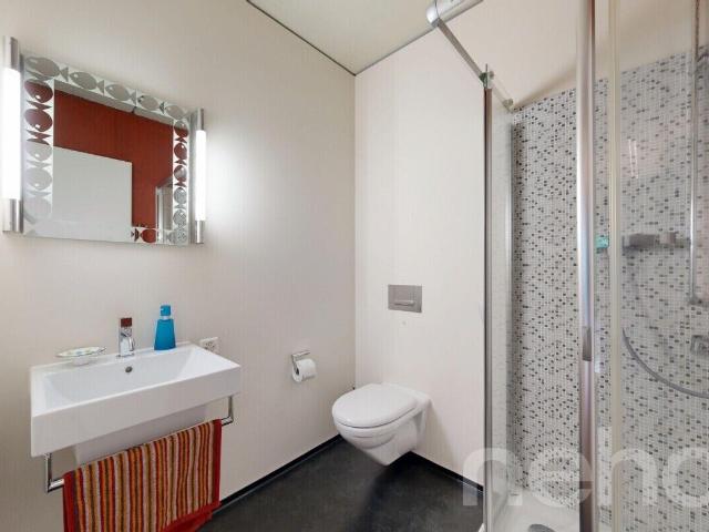 Loft kaufen in Richterswil, Zürich