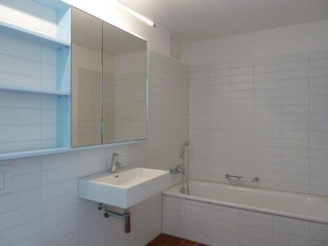 Loft mieten in Neuhegi, Winterthur