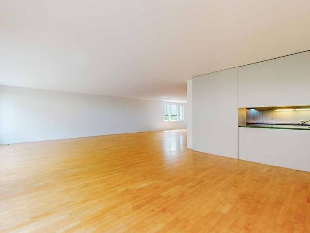 Apartment mieten in Oerlikon, Zürich