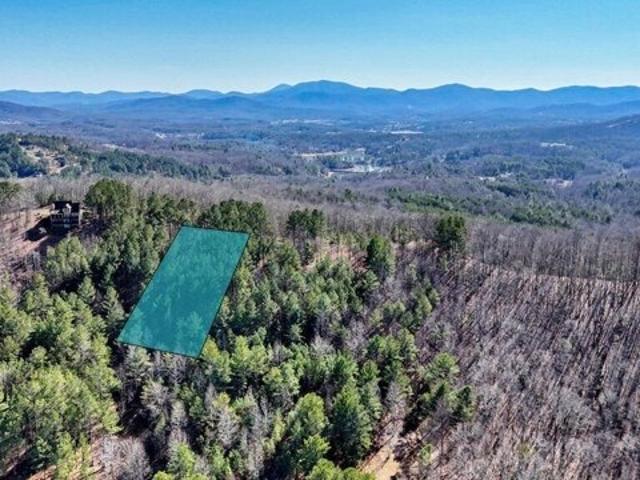 Land for sale in Blairsville
