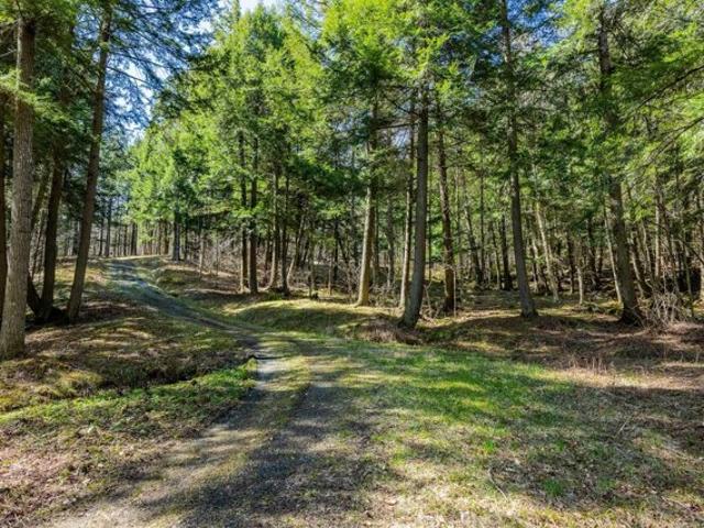 Land for sale in North Pomfret, Vermont