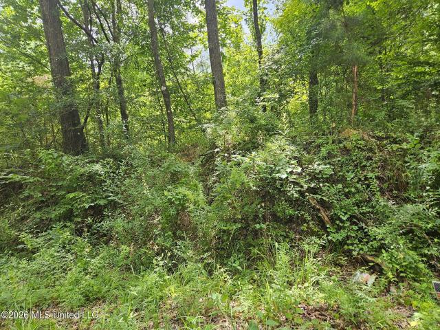 Land for sale in Roxie, Mississippi