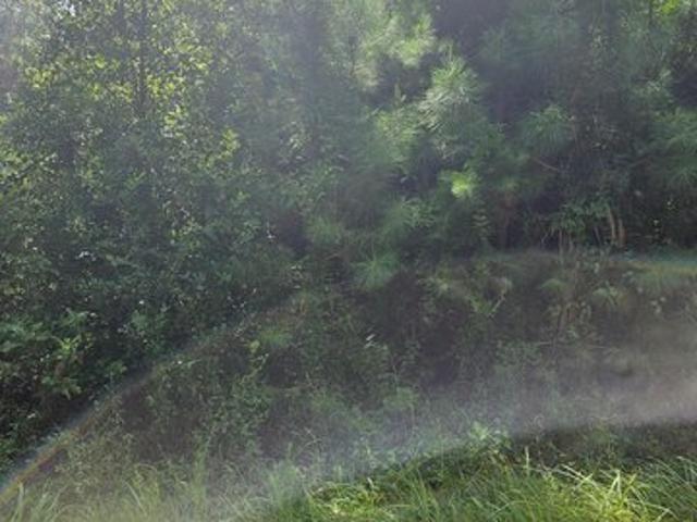 Land for sale in Roxie, Mississippi