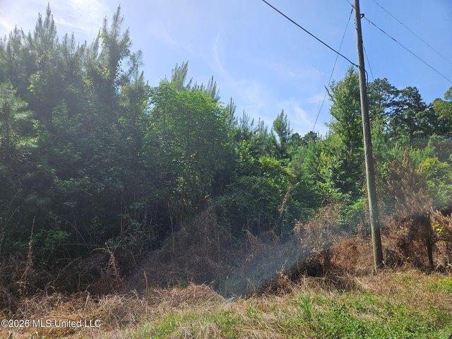 Land for sale in Roxie, Mississippi