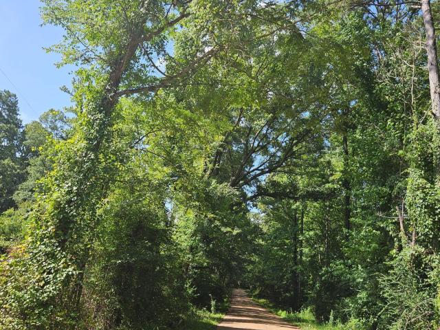 Land for sale in Roxie, Mississippi