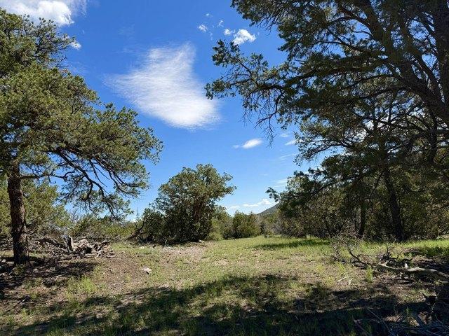 Land for sale in Catron, New Mexico