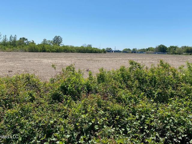 Land for sale in Vidalia, Louisiana