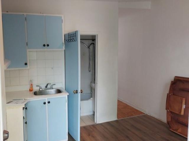 Apartment for rent in Hochelaga, Montréal