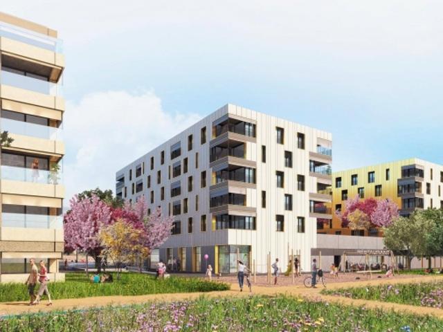 Wohnung mieten in Orbe, Waadt