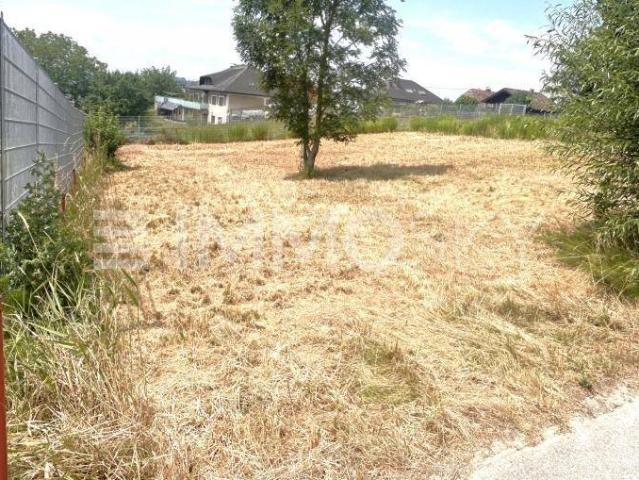 Immobilie kaufen in Schwertberg, Oberösterreich