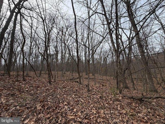 Land for sale in Virginia