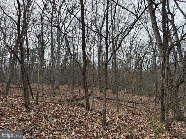 Land for sale in Virginia