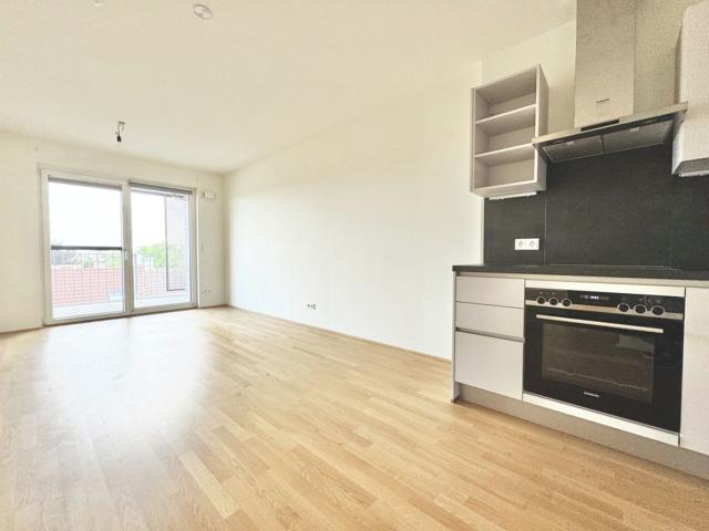 Wohnung mieten in Guntramsdorf, Niederösterreich