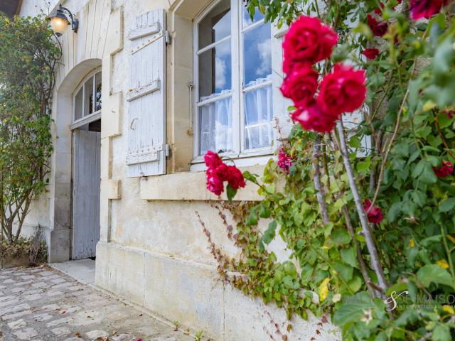 Maison vente à Cognac, Saint-sulpice-de-cognac
