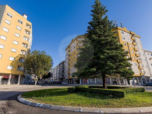 Loja venda em Castelo Branco