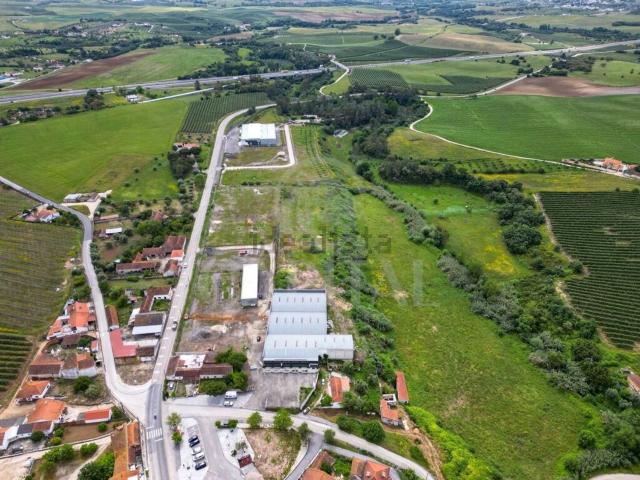 Armazém venda em Santarém