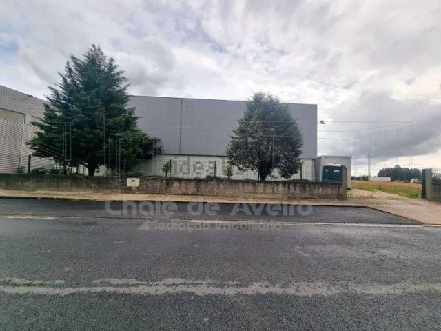 Armazém venda em Assilhó, Albergaria-a-velha