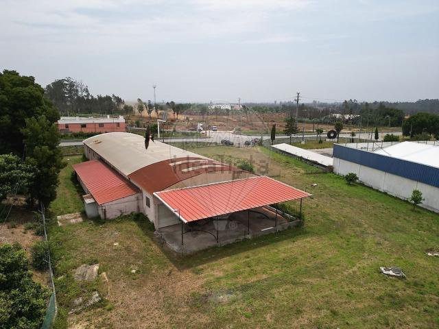 Armazém alugar em Urgueiras, Albergaria-a-velha