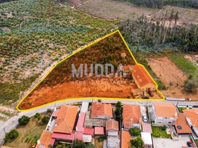 Armazém venda em Albergaria-a-Velha e Valmaior, Albergaria-a-Velha
