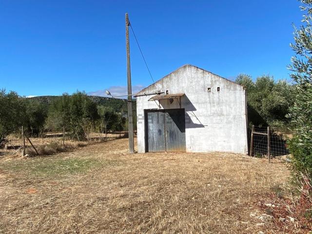 Armazém venda em Alcanena e Vila Moreira, Alcanena