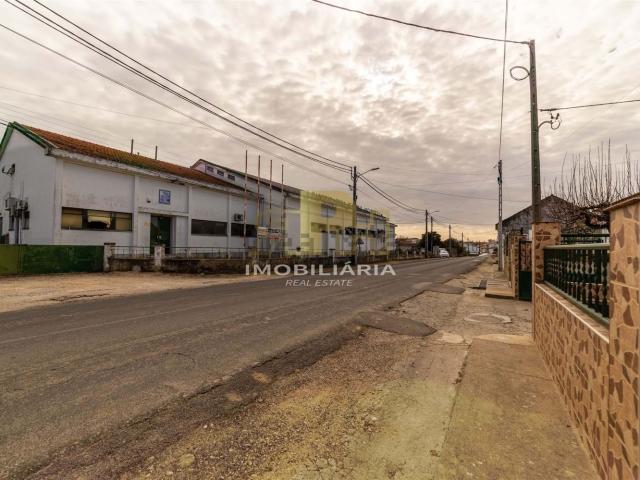 Armazém venda em Santarém