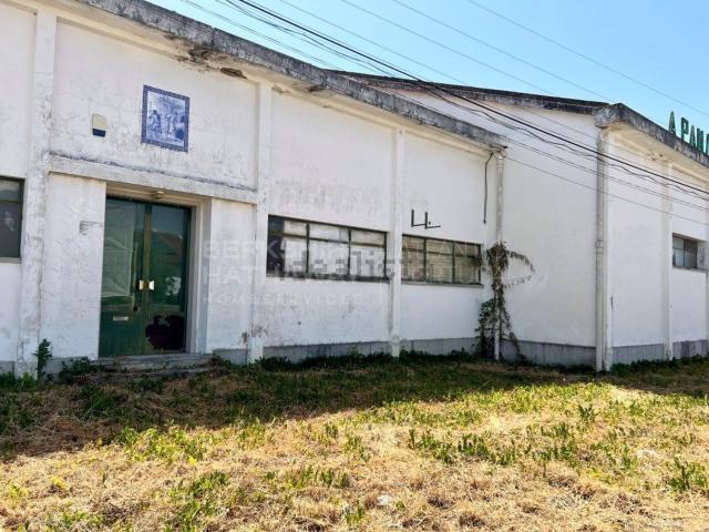 Armazém venda em Santarém
