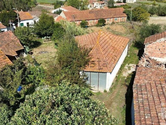 Armazém venda em Valteira, Rio Maior