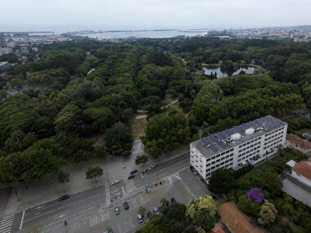 Loja alugar em Porto, Aldoar