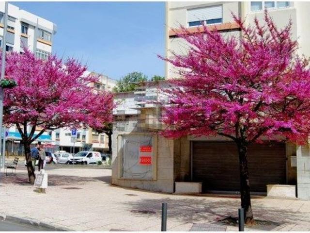 Ponto Comercial alugar em Linda A Velha, Pedreira dos Húngaros