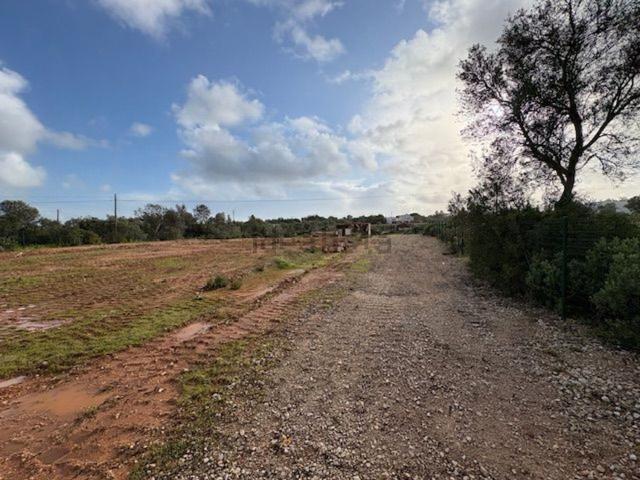 Armazém venda em Loulé, Faro