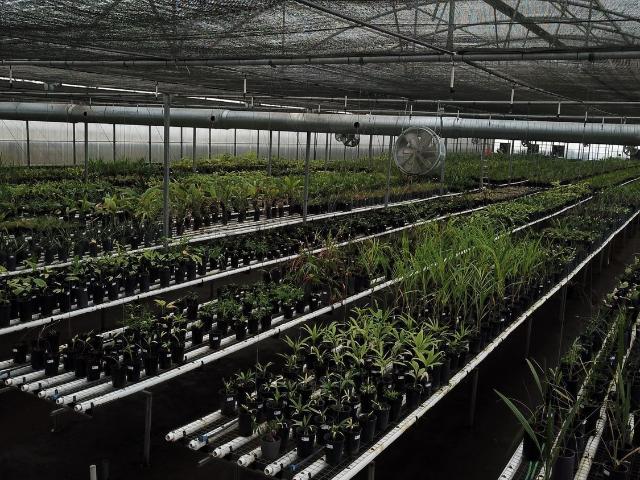 Loja venda em Almeirim, Santarém