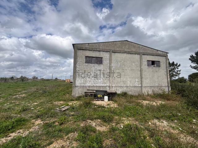 Armazém alugar em Santarém