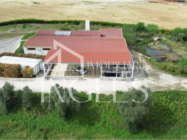 Armazém venda em Santarém